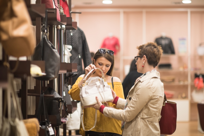 Two Girl-Friends On Shopping 